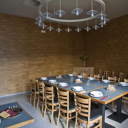 Ea Business Hotel Jihlava